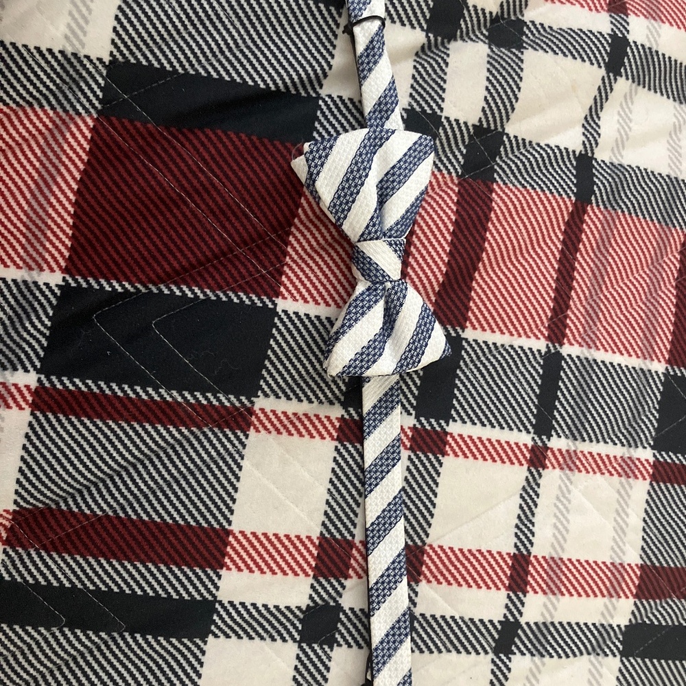 Clip on Bow tie